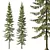 3D Spruce Tree Models Kit 3D model small image 1