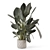 Modern Indoor Plant with Stylish Pot 3D model small image 3