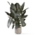 Modern Indoor Plant with Stylish Pot 3D model small image 4