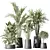 Modern Indoor Plant Set Collection 3D model small image 1