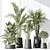 Modern Indoor Plant Set Collection 3D model small image 2