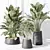 Modern Indoor Plant Set Collection 3D model small image 3