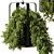 695 Hanging Indoor Plants 3D model small image 2