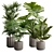 Exotic Indoor Plants Pack 66 3D model small image 1