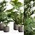 Exotic Indoor Plants Pack 66 3D model small image 2