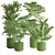 Exotic Indoor Plants Pack 66 3D model small image 3