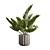 Exotic Indoor Plants Pack 66 3D model small image 7