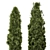 Pine Bushes Set for Outdoors 3D model small image 3