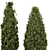 Pine Bushes Set for Outdoors 3D model small image 4