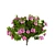 Evergreen Blooming Shrub 3D Collection 3D model small image 2