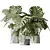 Elegant Monstera Deliciosa Large Leaf 3D model small image 1