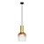 Modern Pendant Light Fixture  3D model small image 1