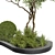 Outdoor Plant 270 3D Model 3D model small image 3