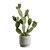 Prickly Pear Cactus Houseplant 3D model small image 2