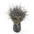 Unique Dry Bouquet Plants Set 3D model small image 2