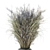 Unique Dry Bouquet Plants Set 3D model small image 3