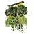 Title: Texture-Enhanced Hanging Plant 3D model small image 1