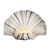 Shell Wall Light by Cox 3D model small image 1