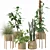 Luxury Indoor Plant Assortment 203 3D model small image 1