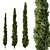 Italian Cypress Tree 3D Models 3D model small image 1