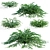 Hybrid Flowering Cotoneaster Set 3D model small image 2