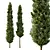 Italian Cypress Tree Models 1300cm 3D model small image 1