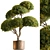  Indoor Tree in Pot 3D model small image 1