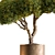  Indoor Tree in Pot 3D model small image 3