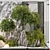 3D Indoor Plant & Decoratives 3D model small image 4