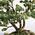 Stone Pine Landscaping Solution 3D model small image 2