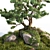 Stone Pine Landscaping Solution 3D model small image 3