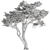 Deciduous Tree Set 307 3D model small image 4