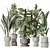 Elegant Indoor Plant Bundle 3D model small image 1