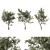 Forest Grove Miniature Tree Set 3D model small image 4