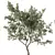 Forest Grove Miniature Tree Set 3D model small image 5