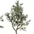 Forest Grove Miniature Tree Set 3D model small image 1