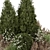  Landscape Bush Set 3D Models 3D model small image 3