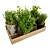 Herbs Tray 3D Model 3D model small image 4