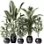 Modern Indoor Plant Set Model 3D model small image 1