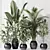 Modern Indoor Plant Set Model 3D model small image 2