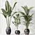 Modern Indoor Plant Set Model 3D model small image 4