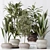 Modern Indoor Plant Set Collection 3D model small image 2