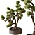 Bonsai Plant 707 - Indoor Greenery 3D model small image 1