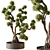 Bonsai Plant 707 - Indoor Greenery 3D model small image 2