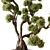 Bonsai Plant 707 - Indoor Greenery 3D model small image 4