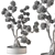 Bonsai Plant 707 - Indoor Greenery 3D model small image 5