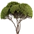 Round Topiary Tree Set 305 3D model small image 1