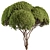 Round Topiary Tree Set 305 3D model small image 2