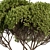 Round Topiary Tree Set 305 3D model small image 3