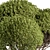 Round Topiary Tree Set 305 3D model small image 4